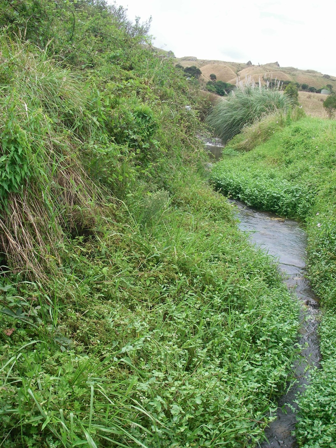 Huriwai River