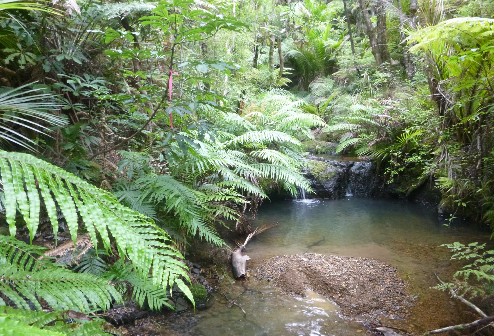 Ahirau Stream