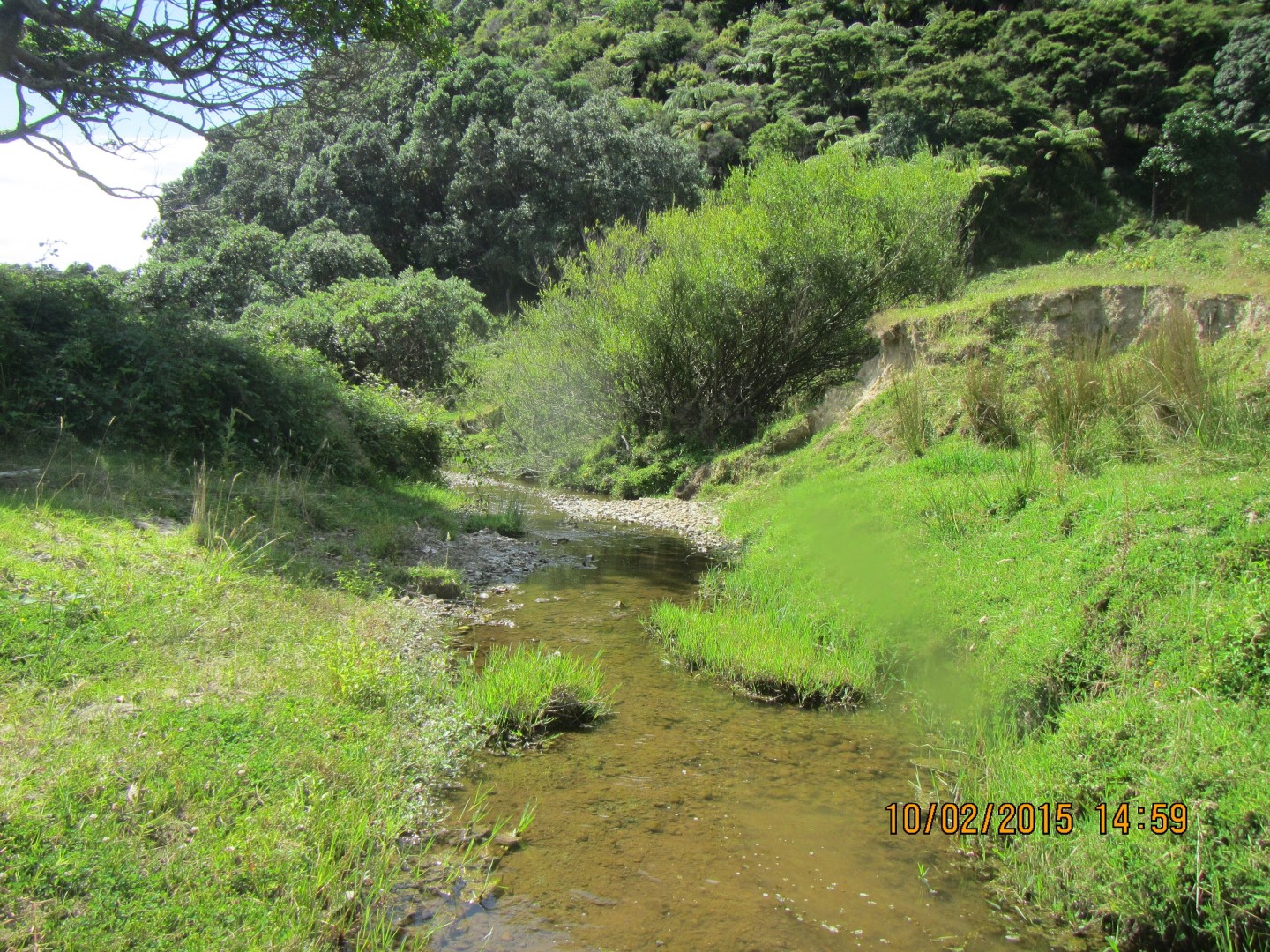 Maraehako