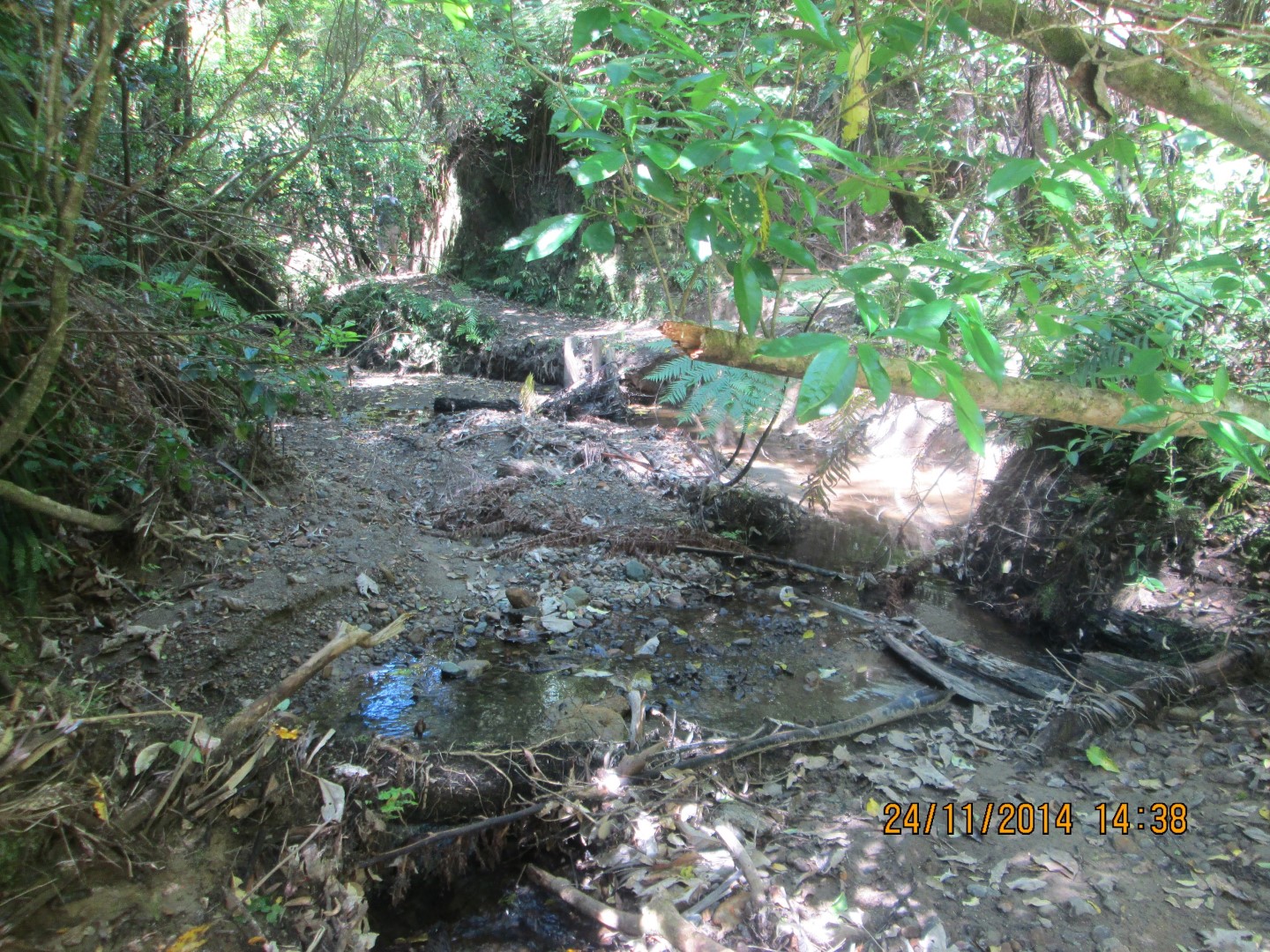 Te Hiku o te Tuna (Ohope Scenic Reserve)