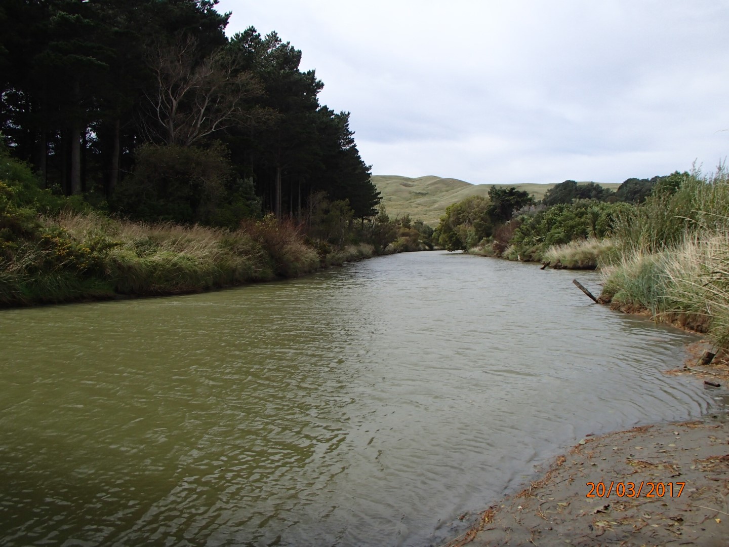 Wainui