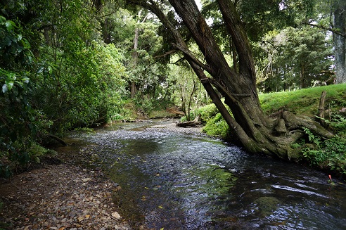 Otaika River