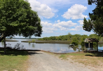 Lake Rerewhakaaitu at Homestead Arm - Driving Path around Lake