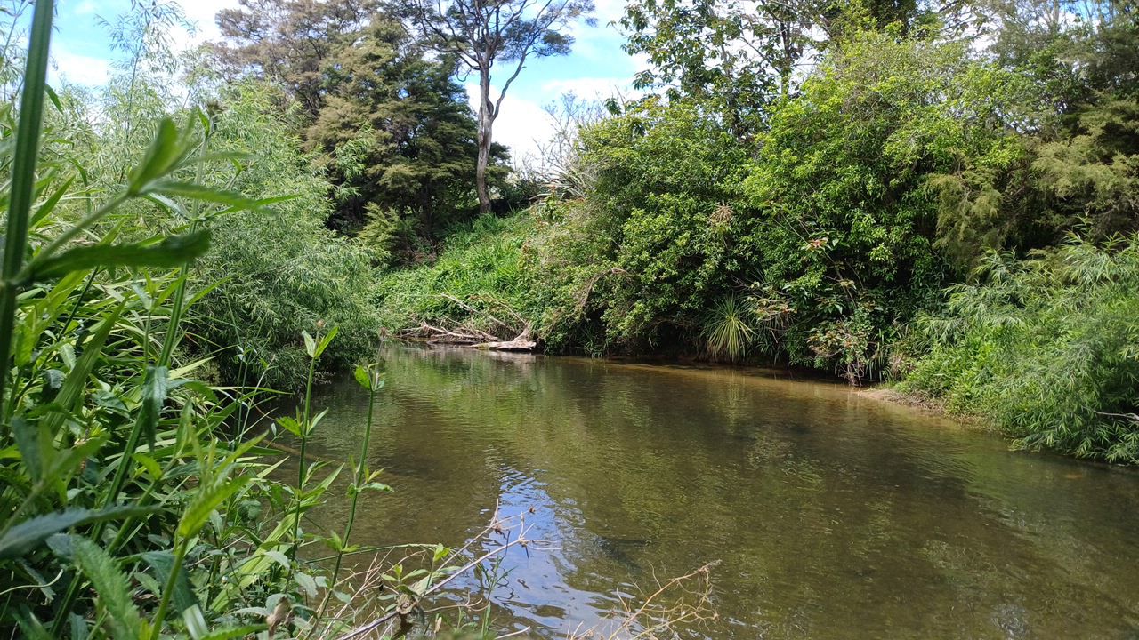 Ngunguru River
