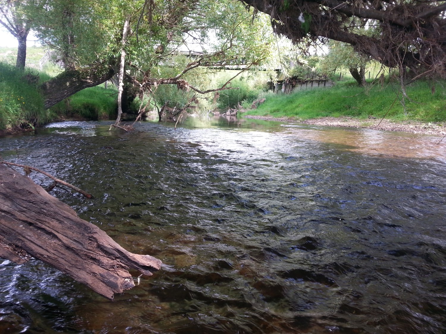 Motu River