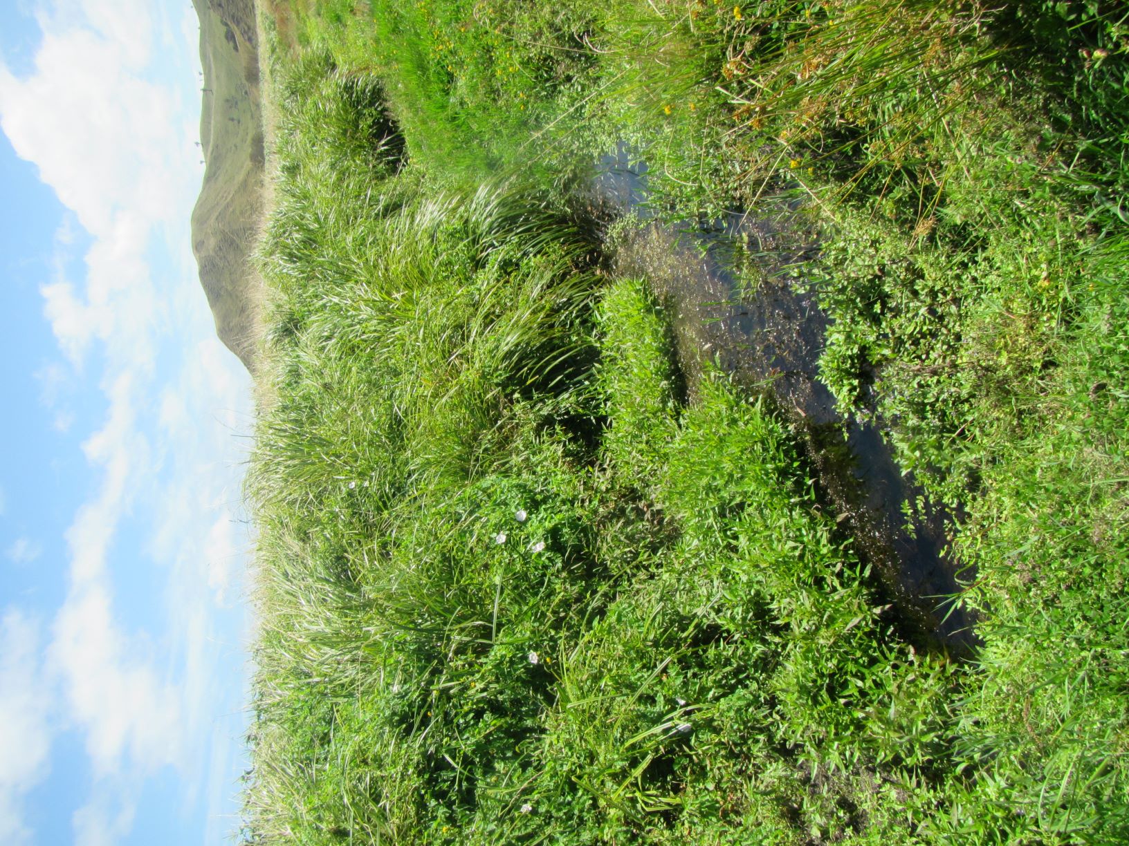 Kaitawa