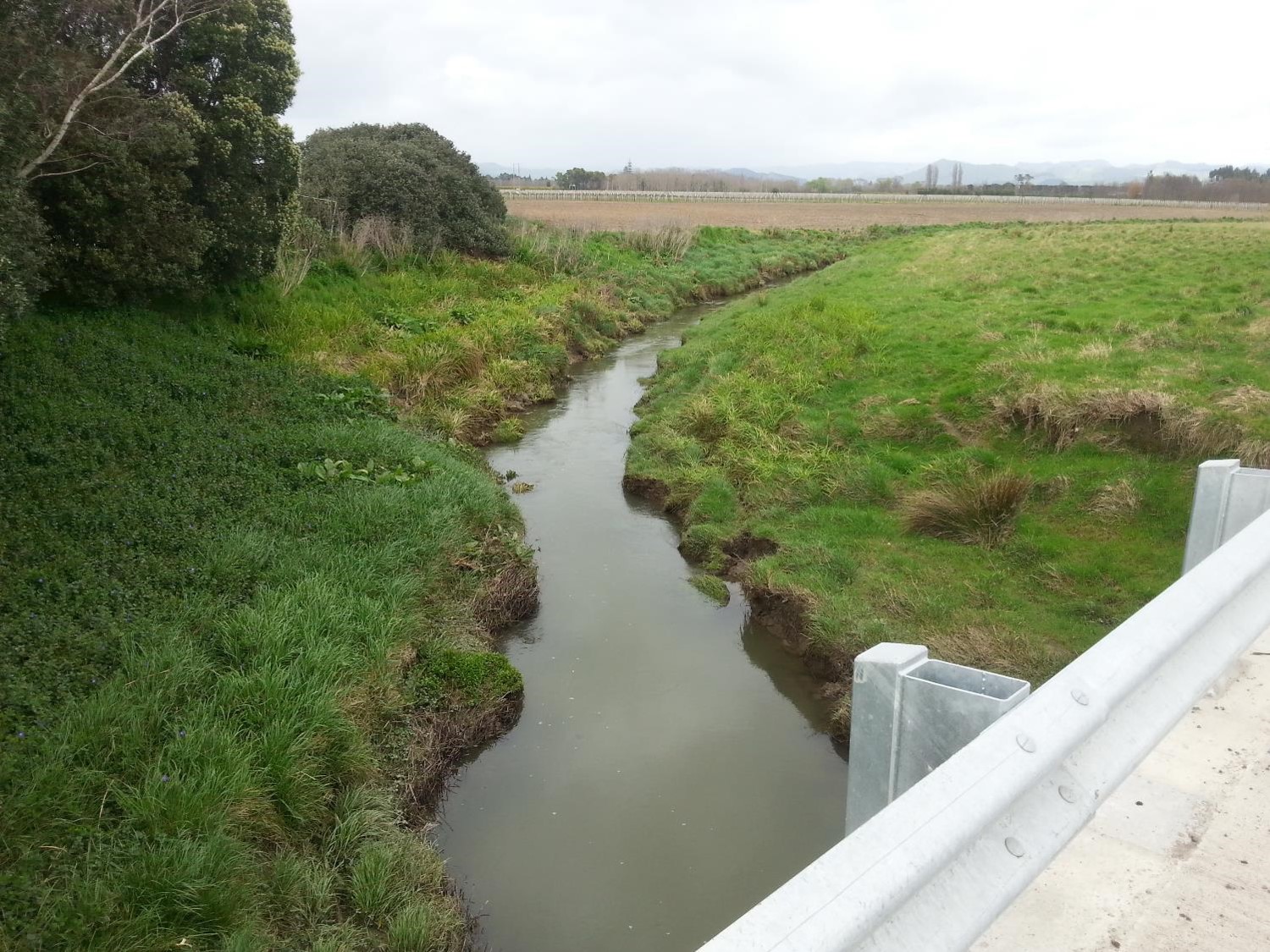 Taruheru River