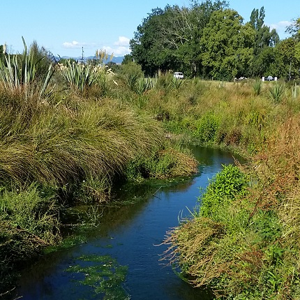 Borck Creek