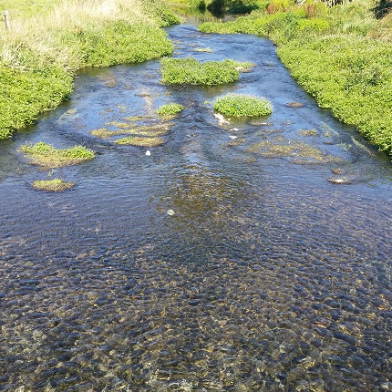 Motupipi River