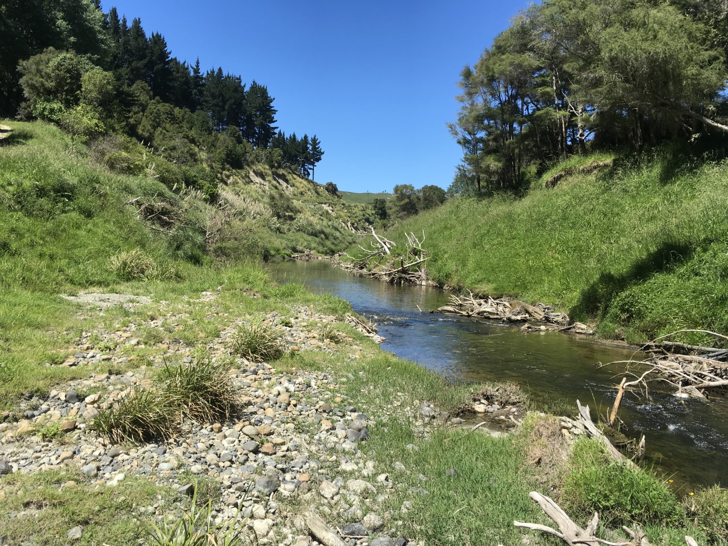 Waihua River