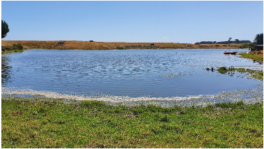 Lake Waipū