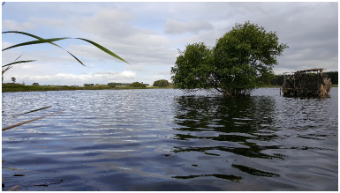 Lake Koitiata