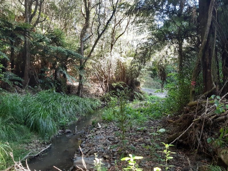 Ōrere River