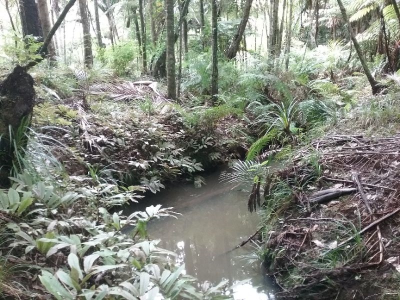 Omaumau River