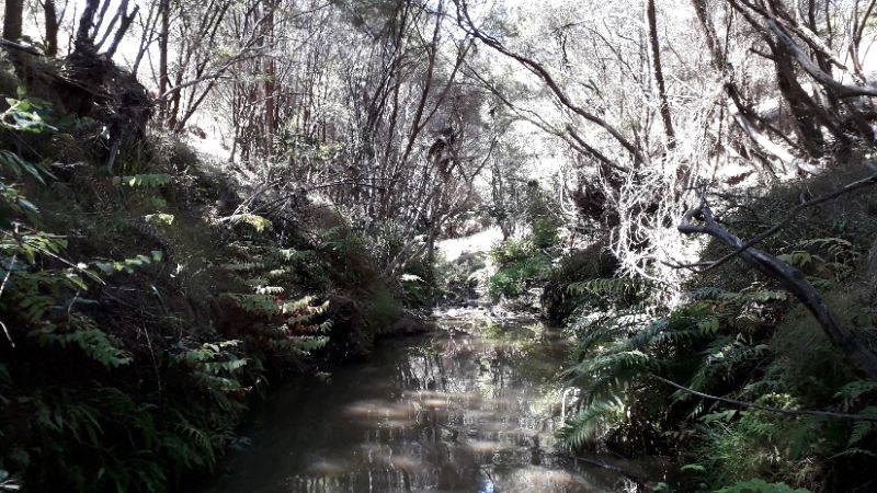 Dyers Creek North
