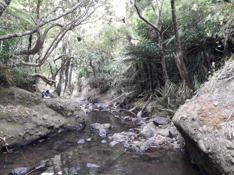 Wekatahi Stream