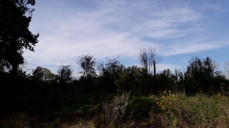 Anns Creek