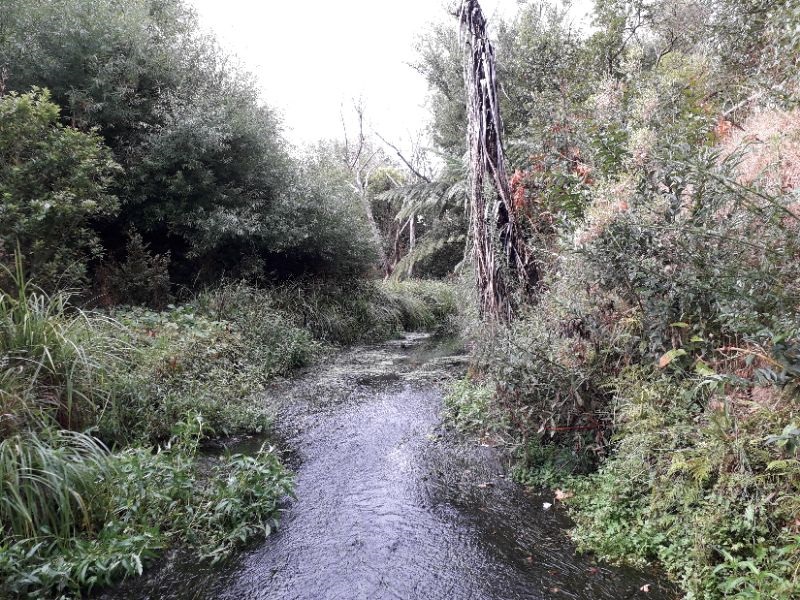 Meola Creek