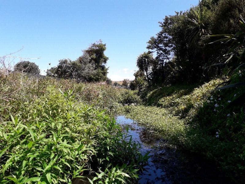 Tararata Creek