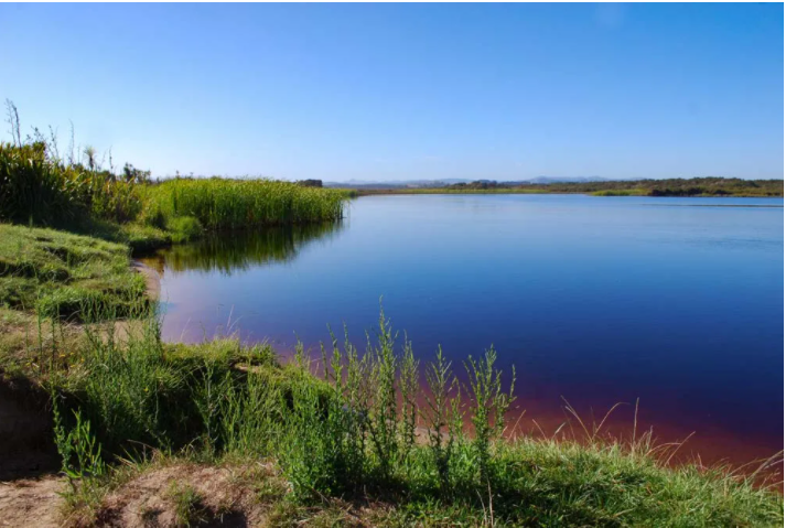 Lake Rotopokaka