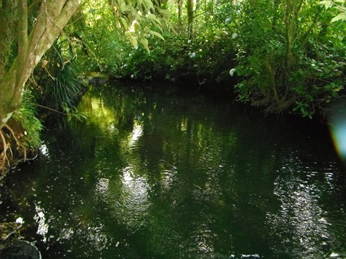 Huatoki Stream