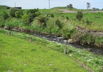 Kapoaiaia At Cape Egmont 1.jpg
