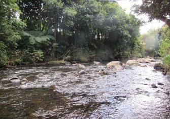 Mangaoraka At Corbett Rd 1.jpg