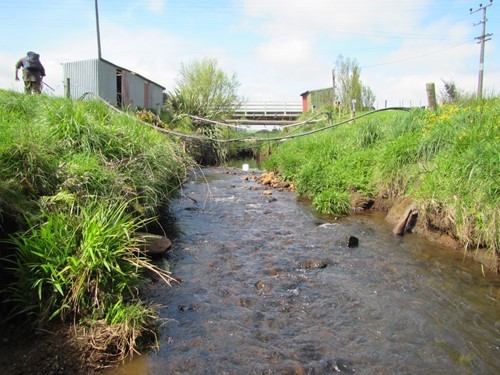 Waiau Stream