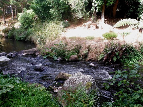Waiokura Stream