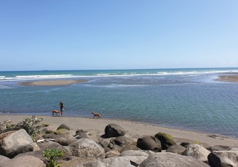 Waiwakaiho River at mouth.jpg