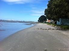 Tauranga