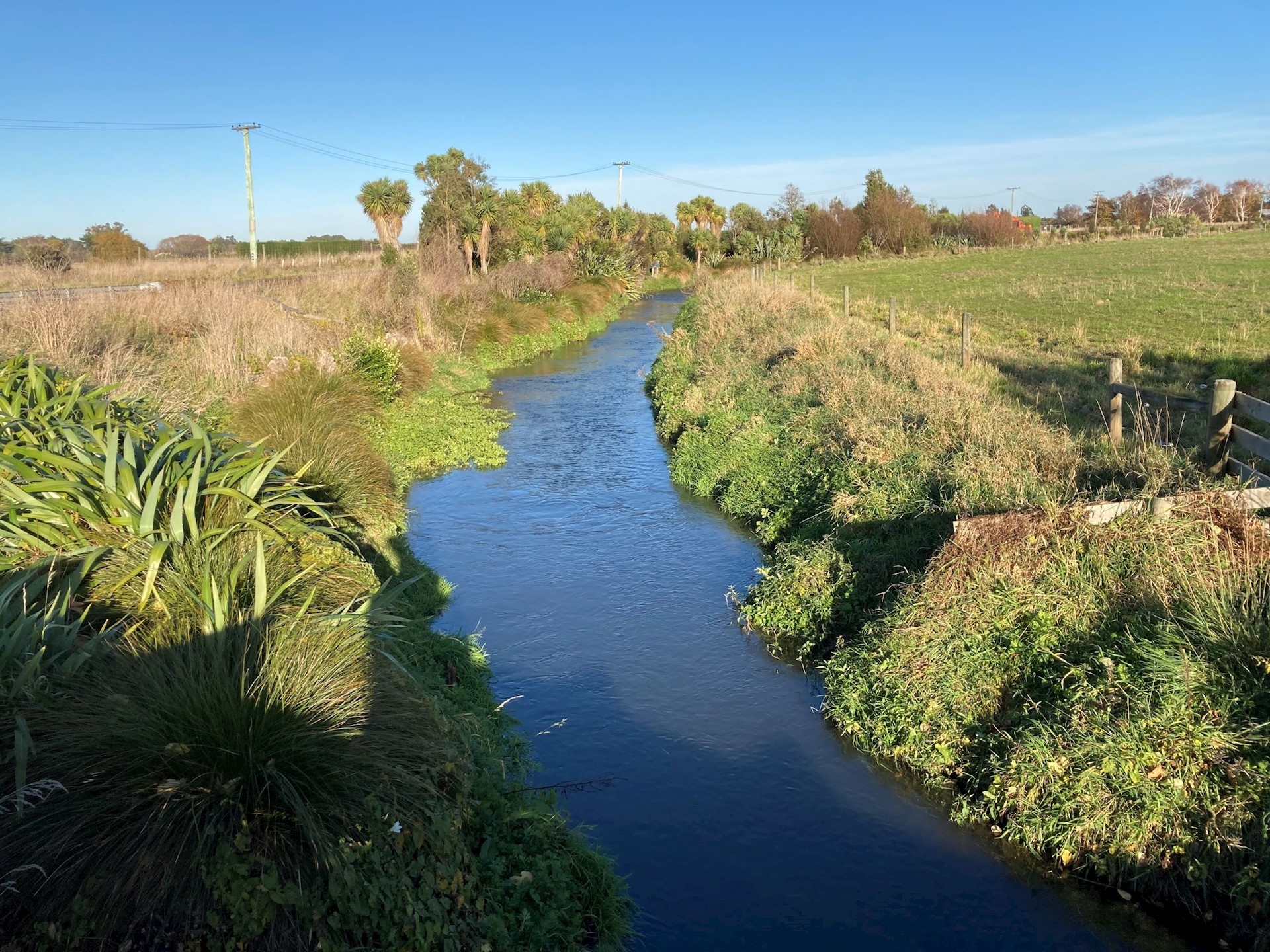 Halswell River