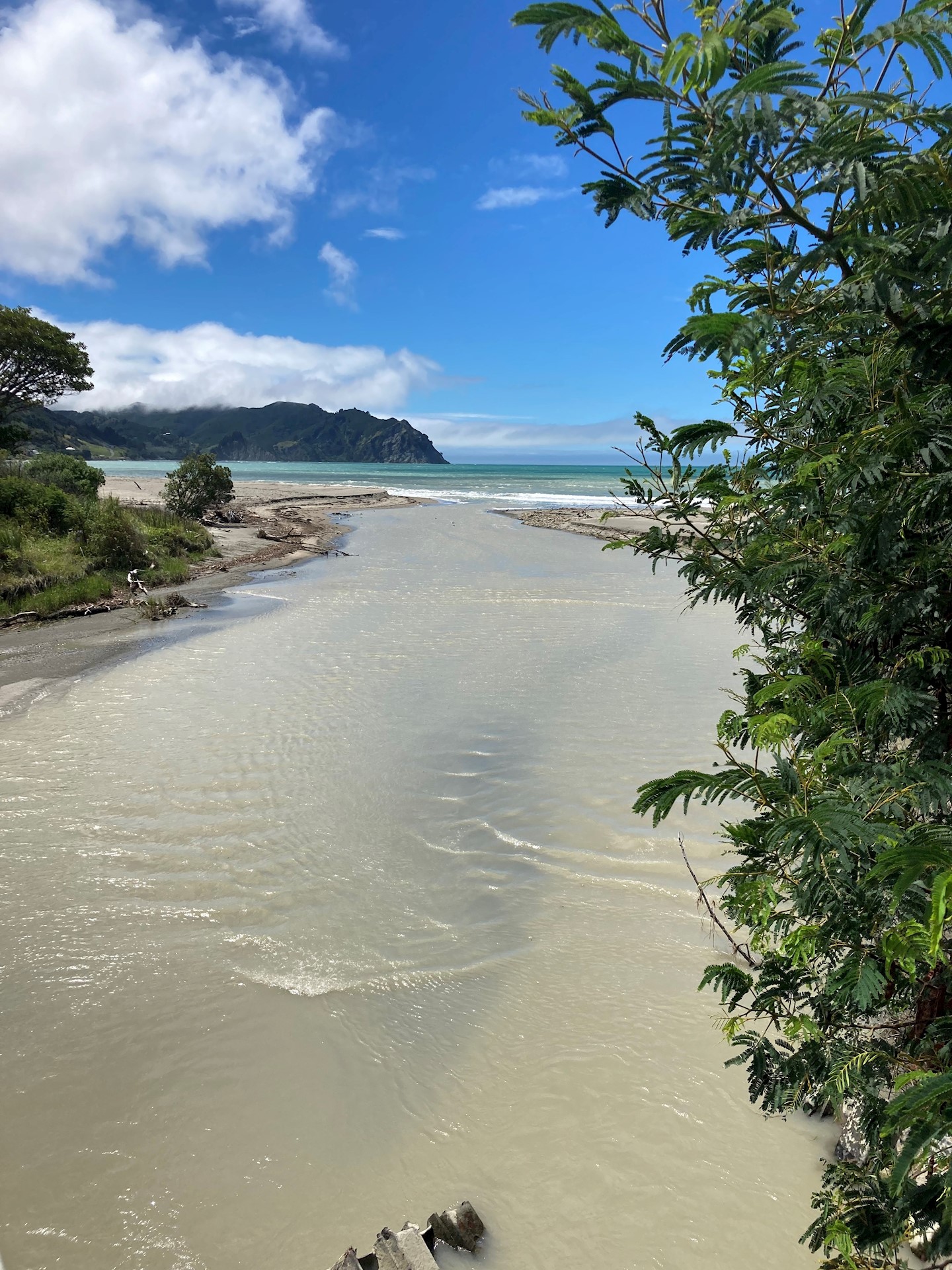 Mangahauini River