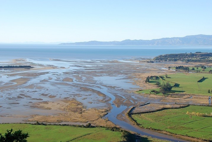 Tasman region
