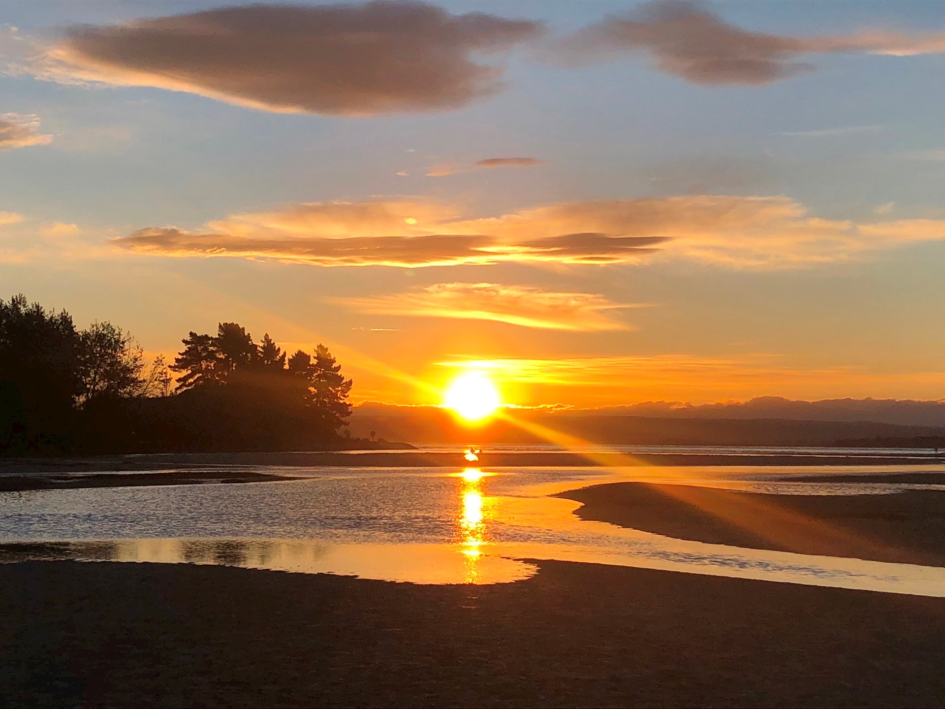Nelson region