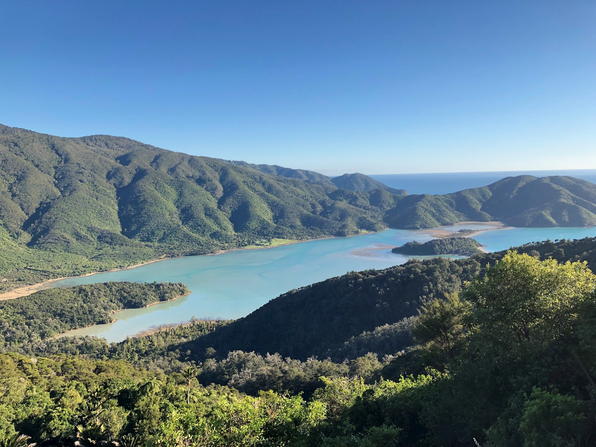 Whangarae Estuary