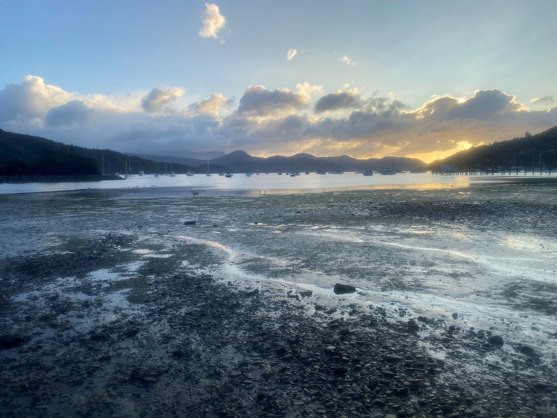 Waikawa Bay