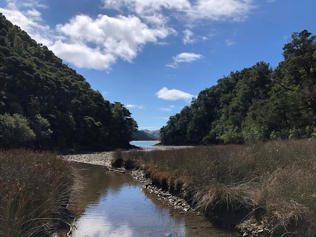 Marlborough region