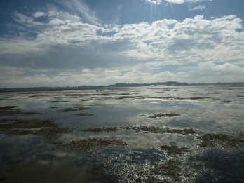 New River Estuary