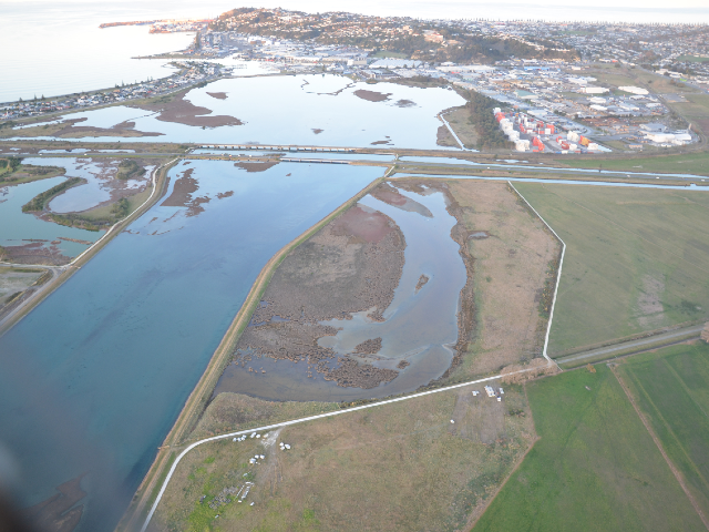 Ahuriri Estuary