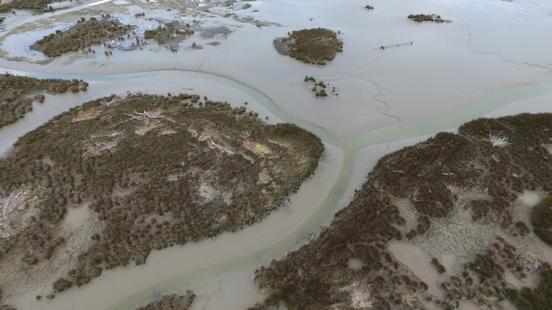 Manawatū Estuary