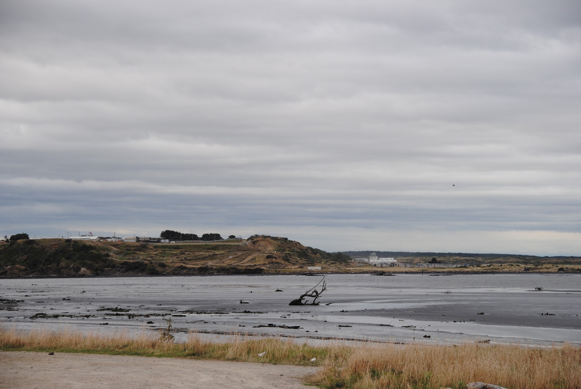 Whanganui Estuary