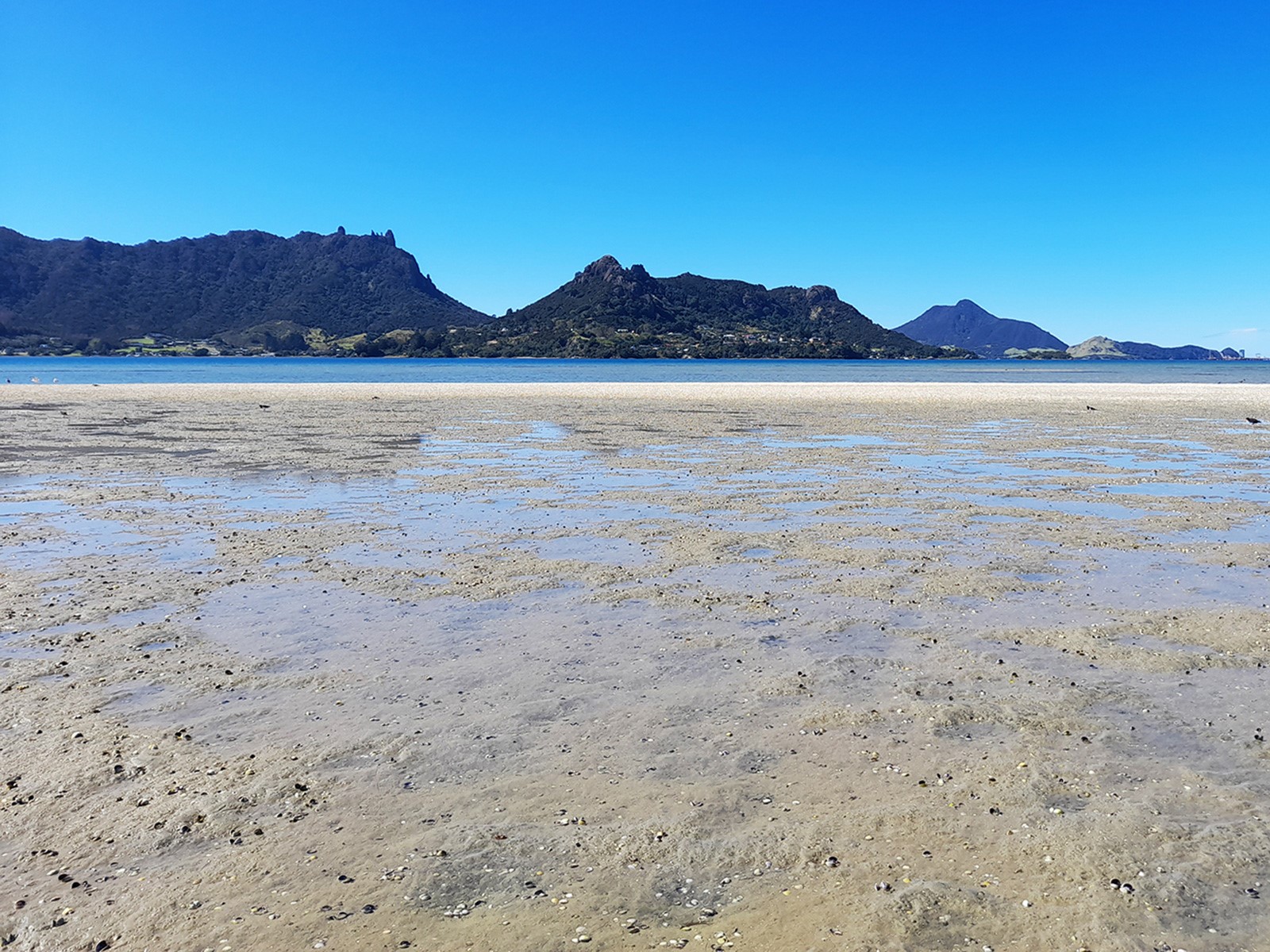 Whangarei