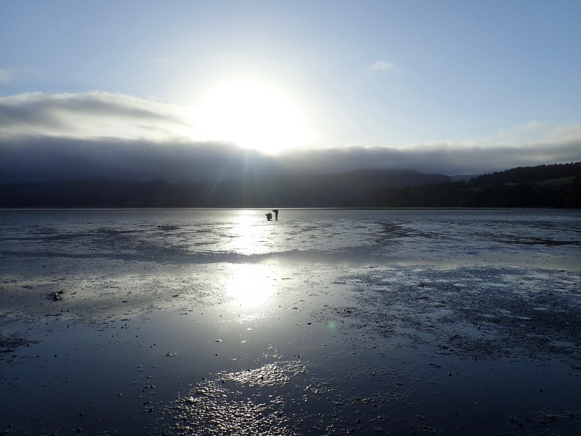 Blueskin Bay