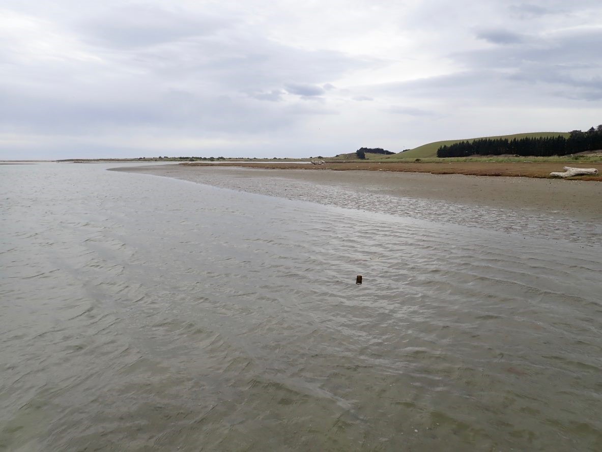 Shag Estuary