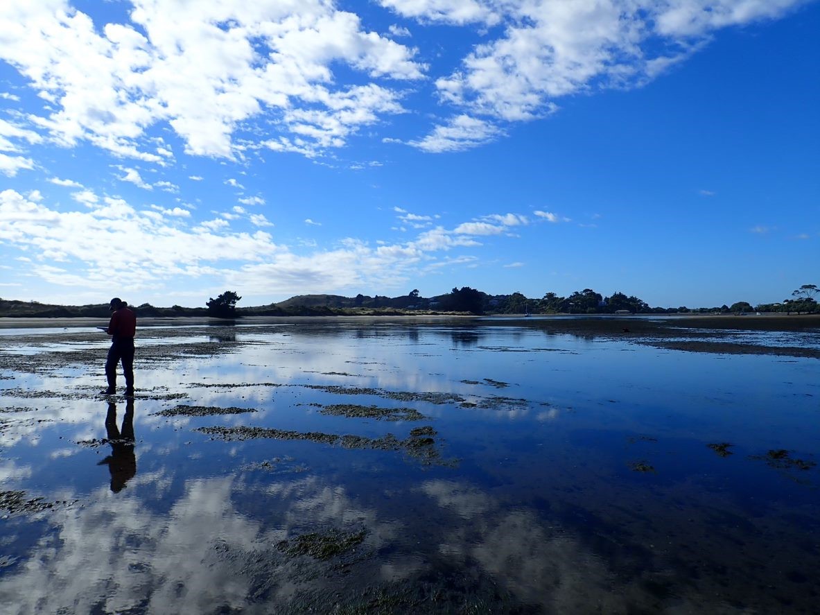 Waikouaiti Estuary