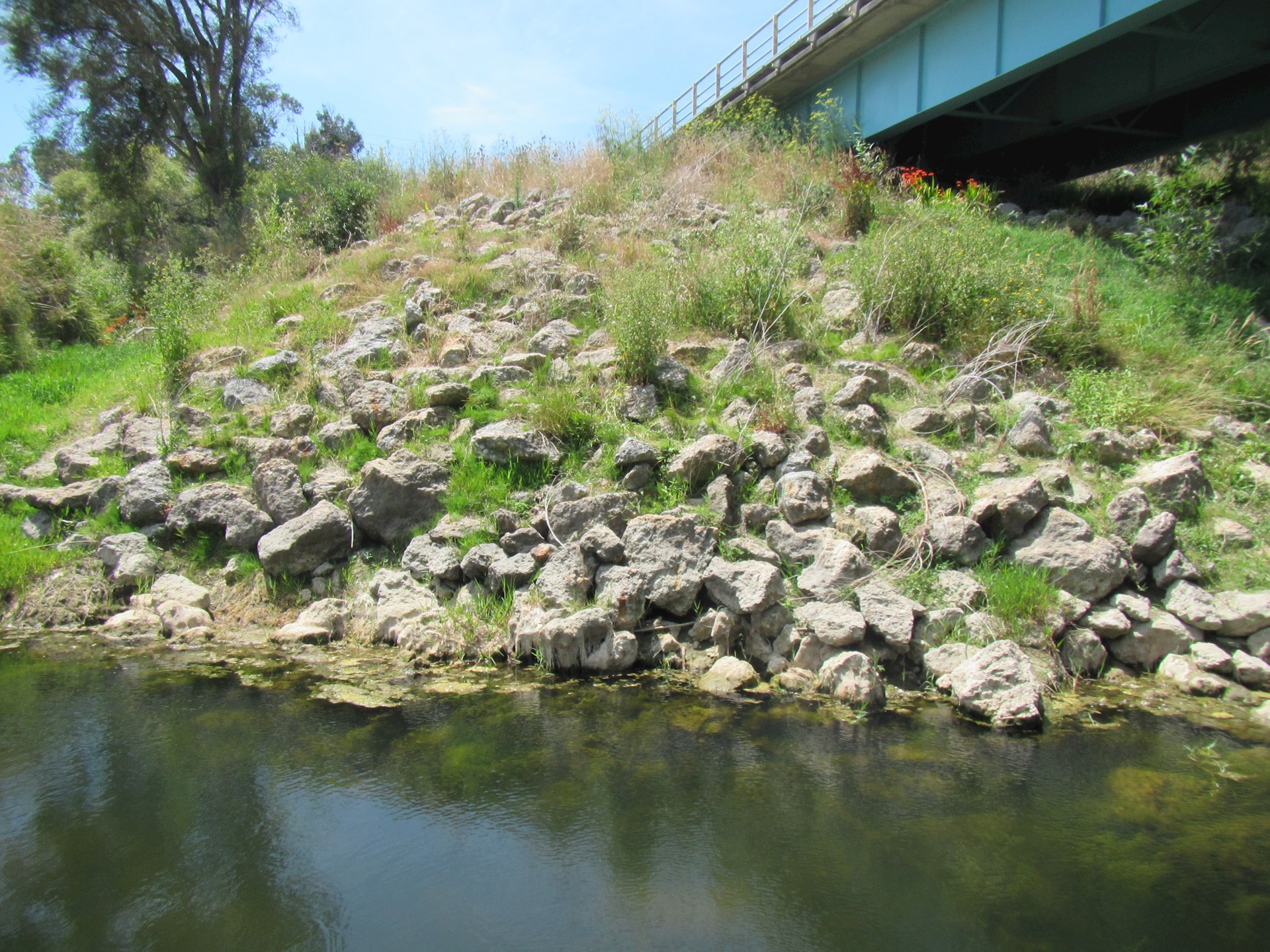 Waiomoko River