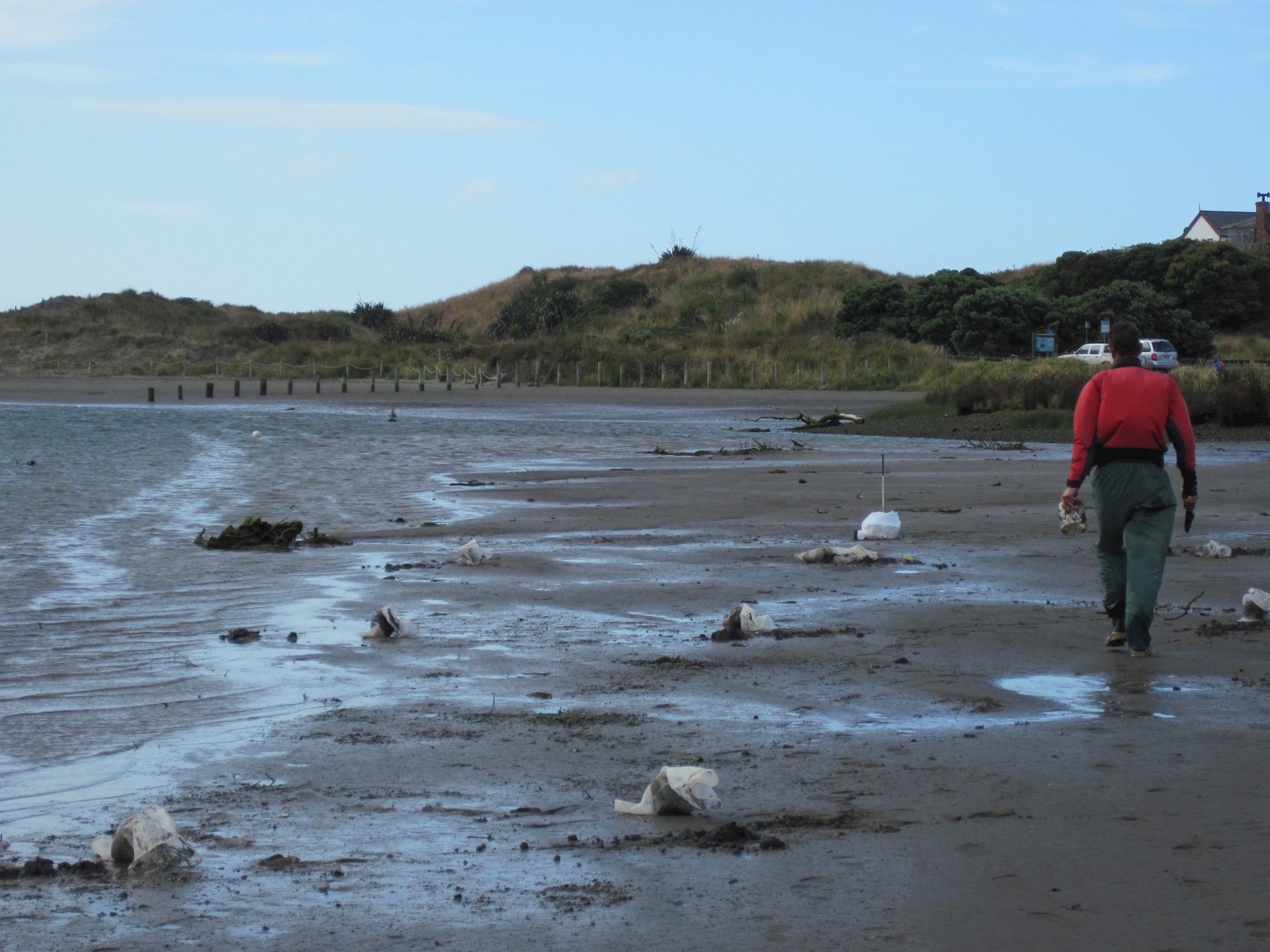 Waikanae Estuary