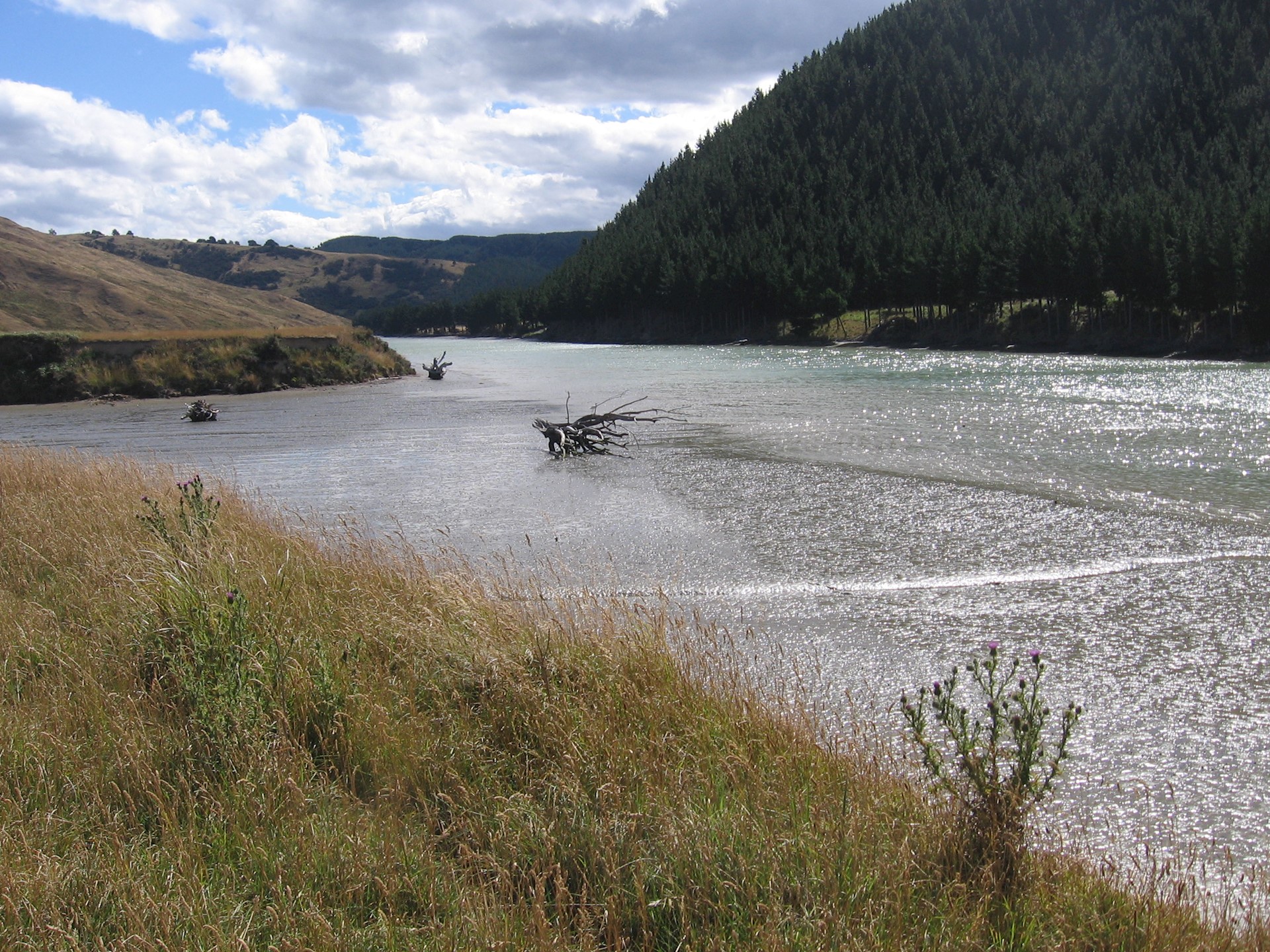 Whareama Estuary