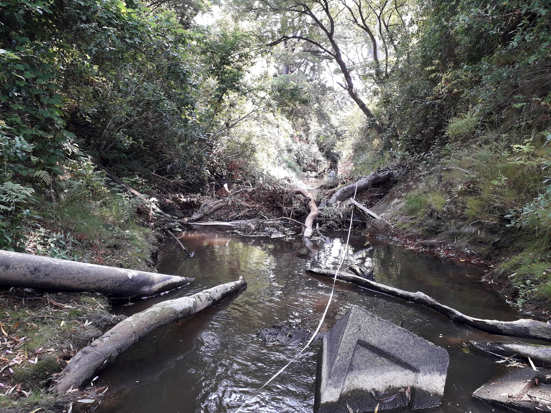 Ōrātia Stream